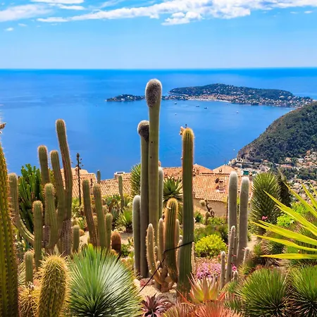 Apartman Le Miollis - Et Confort - Wifi- Pres Tansports En Commun Et Commerces